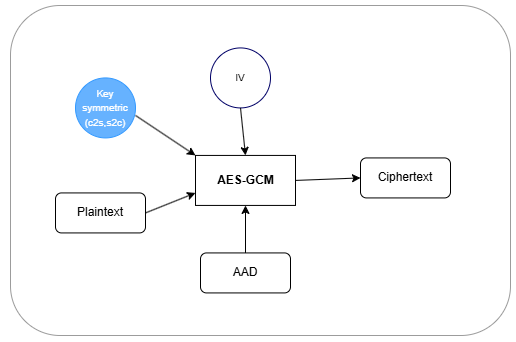 Symmetric Algorithm AES-GCM