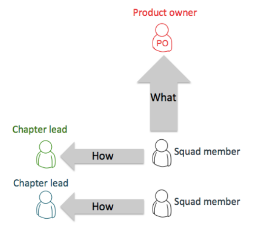 Differences between Chapter Leads and Product Owners